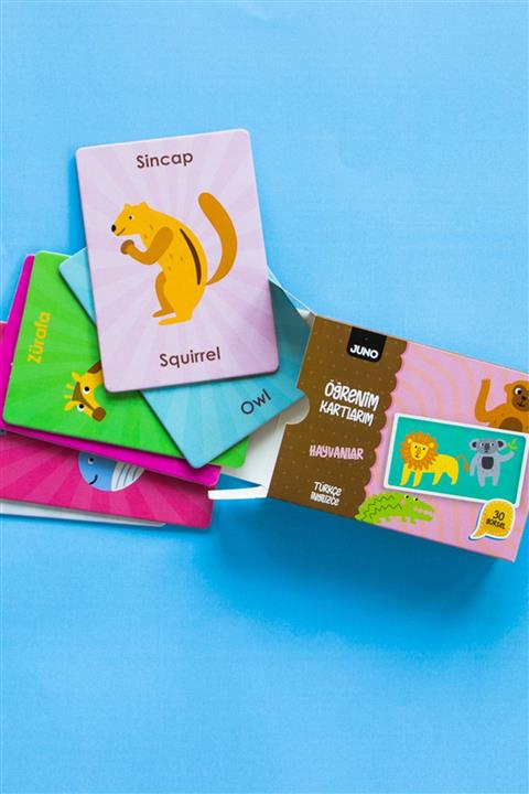 JUNO PAPER Juno Zeka Kartları - Hayvanlar