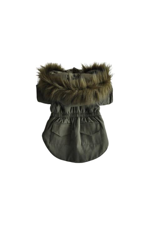 Kajuland Got Style! | Köpek Mont Haki