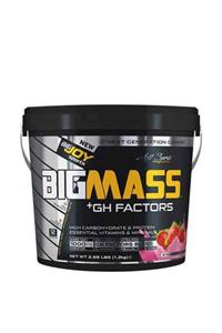 Bigjoy Sports Bigjoy Sports Bigmass Gh Factors Çilek 1.2kg