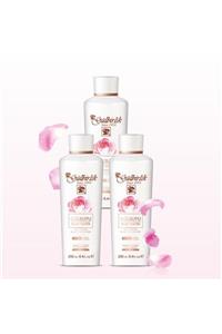 Gülbirlik Gül Suyu 3lü Set 250 Ml