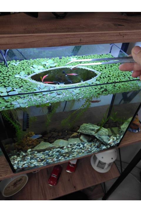 BIO AQUATIC Akvaryum Üstü Bitki Ayıracı 3 Adet