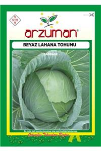 GüçlüTedarik Beyaz Lahana Tohumu 10 Gram 2500 Tohum