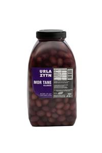 URLA ZYTN Mor Tane Kalamata Zeytini Pet 2.5 kg