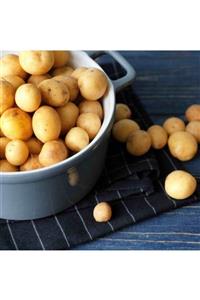 EKİM TARIM Baby Patates Organik Üretim Yerli 1 Kg Paketli Ürün