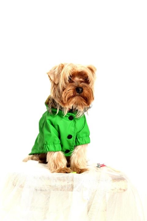 Oxyofficial Doxy Küçük Irk Yeşil Önden Çıtçıtlı Kapşonlu Köpek Yağmurluğu