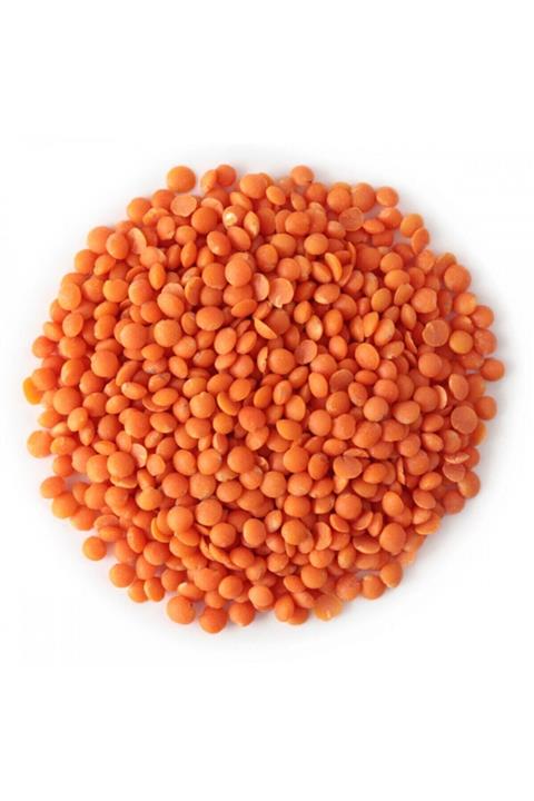 Antep Doğal Gıda Pazarı Organik Kırmızı Mercimek 1 Kg