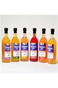 ŞİFA ANA 6 Lı Kombucha Çayı Fırsat Paketi