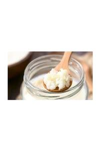 Kafkas % 100 Organik Doğal Kefir Mayası