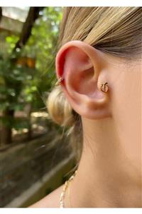 Okkostore Kadın Gold Renkli Şeftali Tragus Kıkırdak Piercing