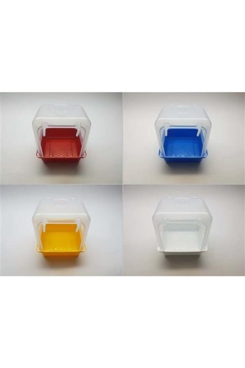 TPet Banyoluk Paraket Jumbo Muhabbet Diğer Türler