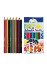 Faber Castell Fantasia 12 Renk Tam Boy Boya Kalemi