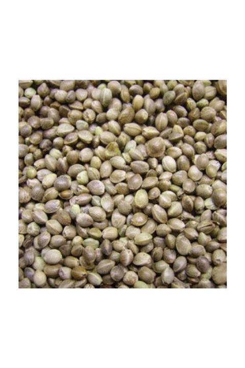 SevdePet Ufak Kenevir Tohumu Kuş Yemi 1 kg