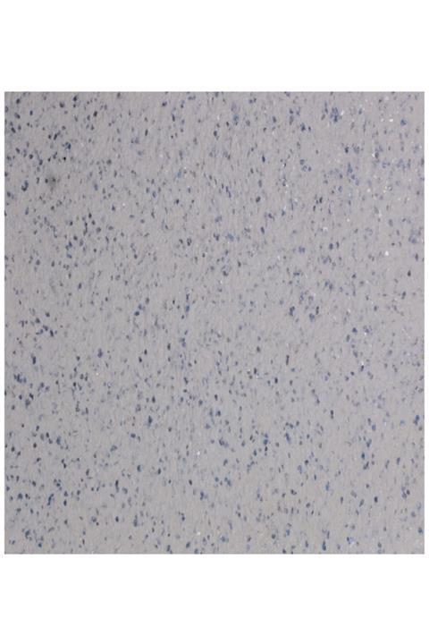 Hobby İpek Sıva ( Canlı Sıva ) Optima 04