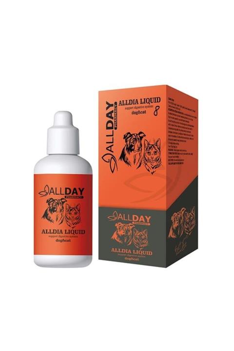 ALLDAY PHARMACY Dia Liquid 100 ml