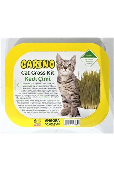 Carino Doğal Kedi Çimi Fileli