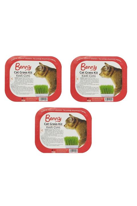 Benny Kedi Çimi 3 Adet Set
