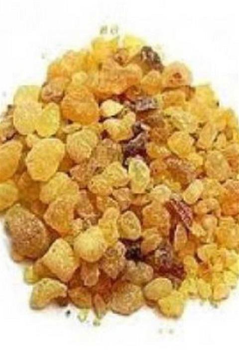 Atasagun Şifa Günlük Sakızı Akgünlük 100 gr