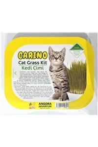 Baylanpet Carino Gerçek Topraklı Kedi Çimi (fileli)