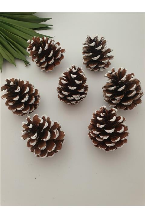 Loyal Friend Store 6 Adet Yılbaşı Ağacı Süs Çam Karlı Kozalak