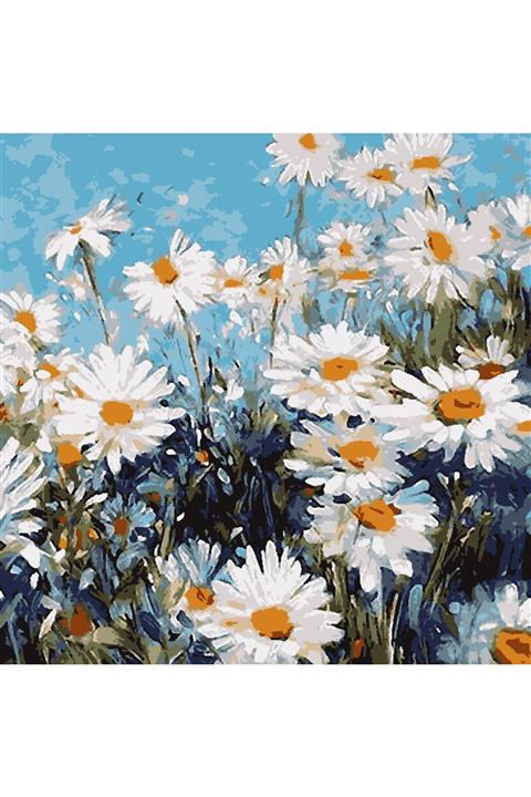 HabuHobi 35x50 Sayılarla Boyama Seti Fırça  Pamuk Tuval Şeklinde Çerçeveli