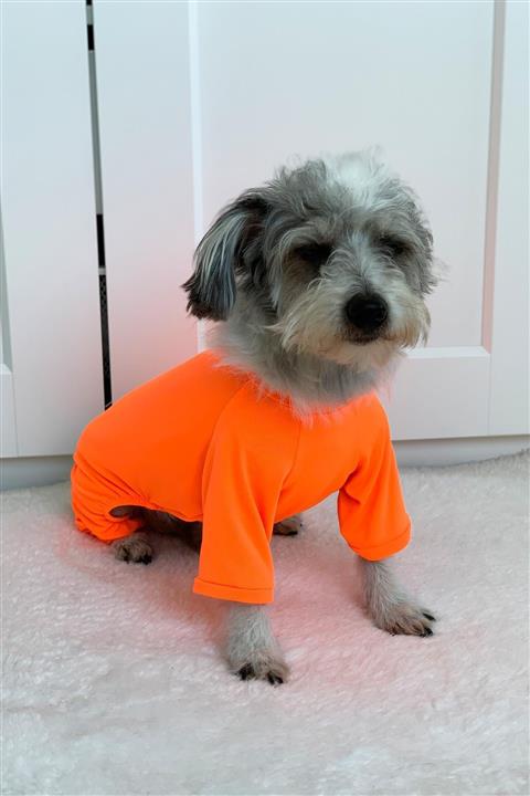 Pinkpati Tlm1003 Köpek Ve Kedi Kıyafeti Tulum