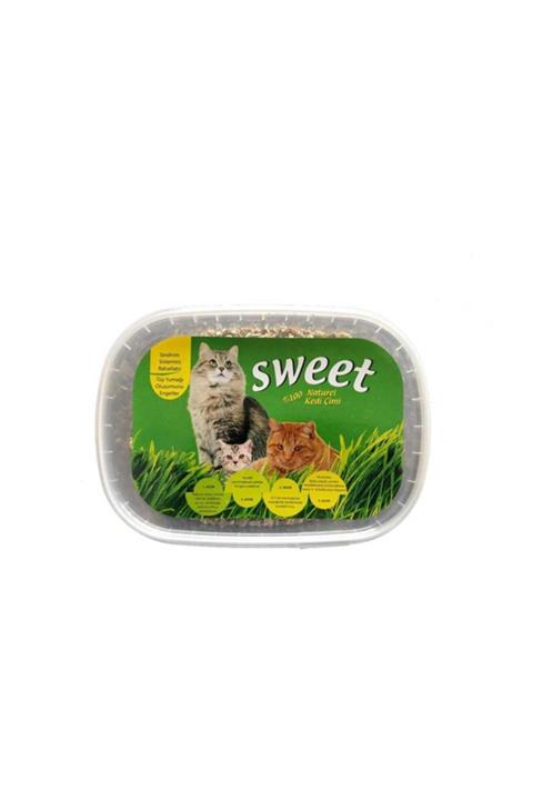 Lion Kedi Çimi % 100 Natural