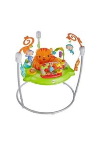 Fihser Price Yağmur Ormanı Jumperoo Bebek Salıncağı Ve Hoppala