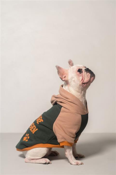 Ponchic 'you Are The Choosen One' Baskılı Sweatshirt.