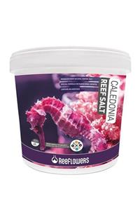 ReeFlowers Caledonia Reef Salt 22Kg