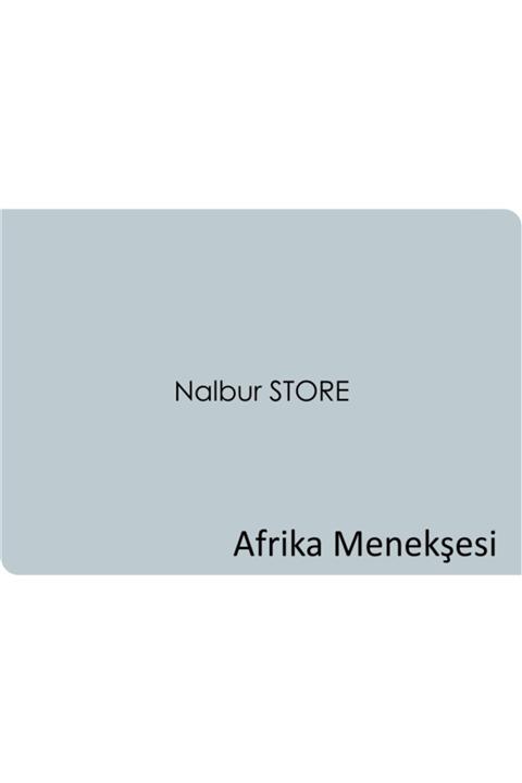 Marshall İç Cephe Boyası 20Kg+Marshall Tavan Boyası 17.5Kg+9 Boya Seti Afrika Menekşesi