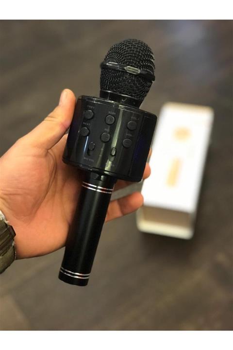 Mayluga Karaoke Mikrofon