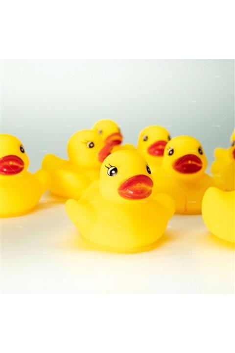 Bircan Oyuncak Vinil Ördek 12 Li Banyo Oyuncağı Ithal