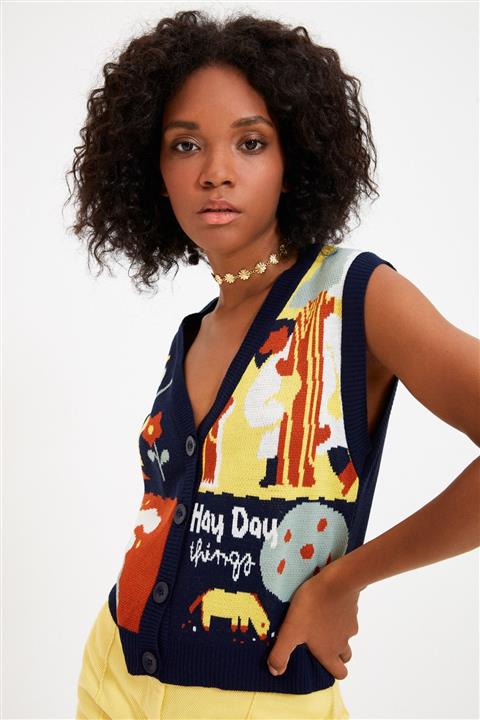 TRENDYOLMİLLA Çok Renkli Düğme Detaylı Jakarlı Triko Yelek TWOAW22HI0331