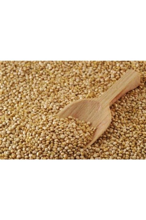 ABU ŞİFA Kinoa Tohumu 100 gr