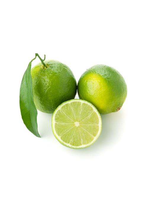 Akdeniz Fidancılık Meksika Lime Limon Fidanı