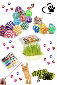 RETROAVM Pet Ip Sarma Topu ,lazer Kedi Oyuncağı ,çıngıraklı Top , Elastik Tasma Ve Kedi Çimi Seti