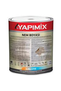 YAPIMİX Nem ve Küf Boyası 1 kg