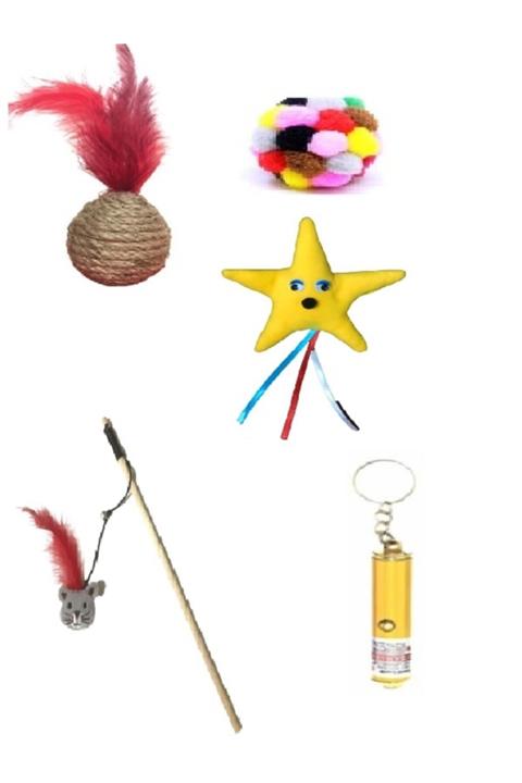 PETiTOYS Kedi Oyun Seti 5 Parça