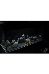 Kalyon Akvaryum Kumu Bazalt (1-3 Mm) - (2-4 Mm) Bitki Kumu 5 Kg