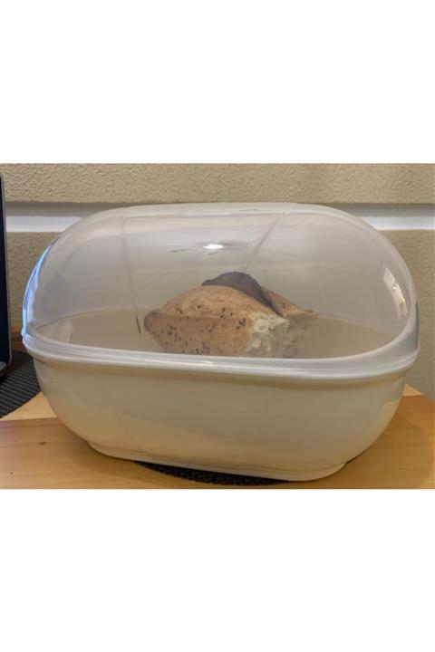 RENKYAPI Kek Simit Poaça Saklama Yuvarlak Ekmeklik Kutusu Ekmek Sepeti Tezgah Kapaklı Plastik Açık Sarı