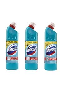 Domestos Çamaşır Suyu Okaliptus 3 Adet X 810 ml.