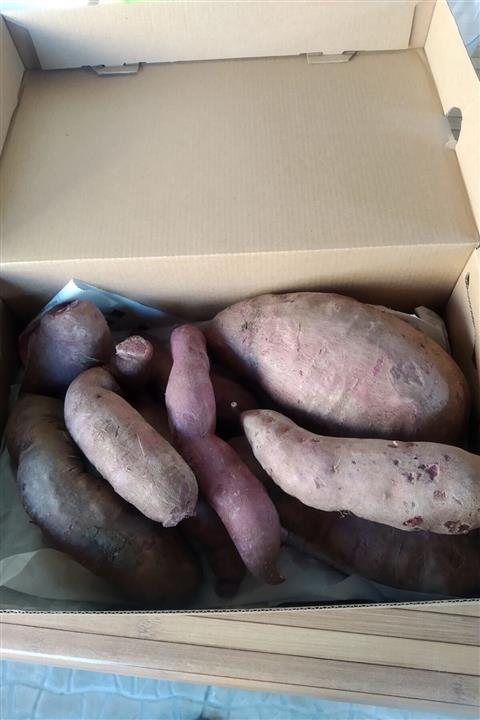 Datça Market Mor Patates Tatlı Patates 10 kg