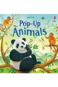 Usborne Pop-up Animals