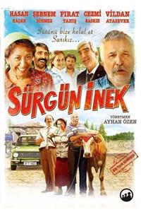 Atmosfer Film Sürgün Inek Filmi