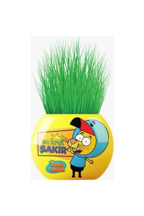 dokirta Dk Kral Şakir Çim Adam