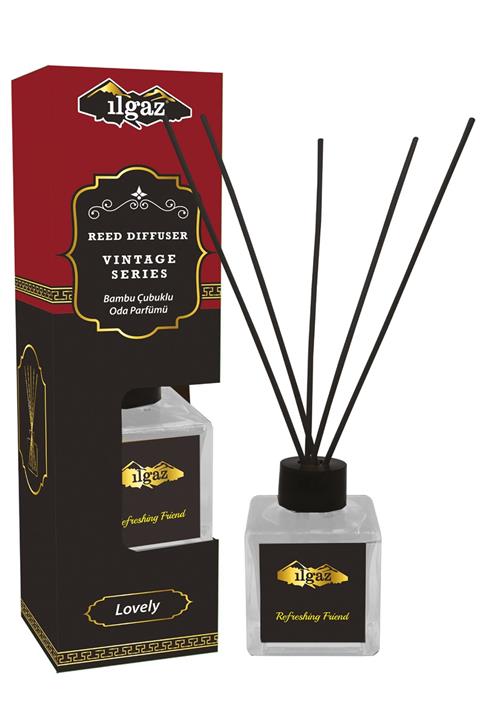 ILGAZ Oda Kokusu 100 ml