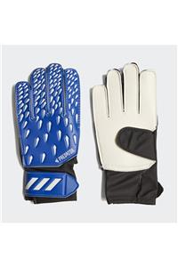 adidas Erkek Çocuk Futbol Kaleci Eldiveni Pred Gl Trn J Gk3546