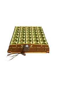 boraninciftligi Motorlu Kuluçka Makinası Yumurta Çevirme Viyolü 35 2,5/3 Rpm