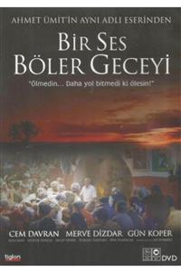 Tiglon Bir Ses Böler Geceyi