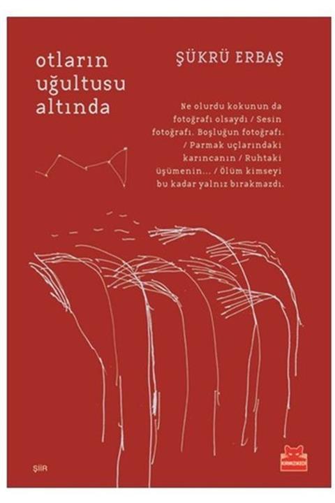 Kırmızı Kedi Yayınevi Otların Uğultusu Altında